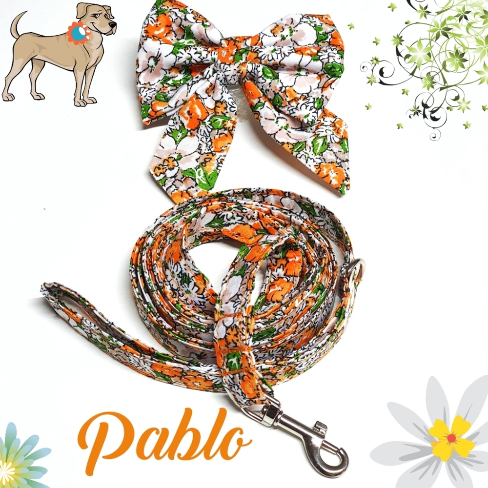 🐶 5 for $15 * Pablo Floral Cotton Dog Bow Tie & Leash Set